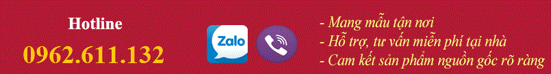 Banner Top