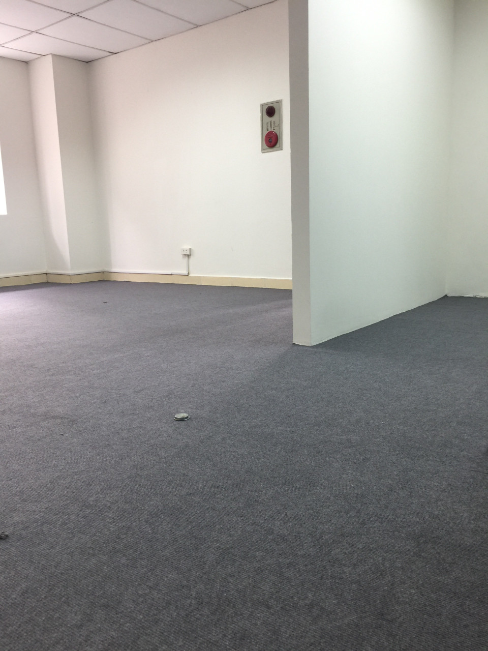 Thảm trải sự kiện