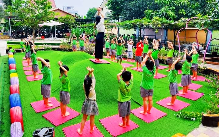 thảm cỏ nhân tạo trường mầm non