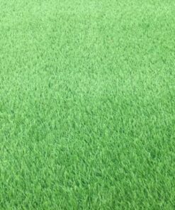 Thảm cỏ nhân tạo - Sàn thể thao