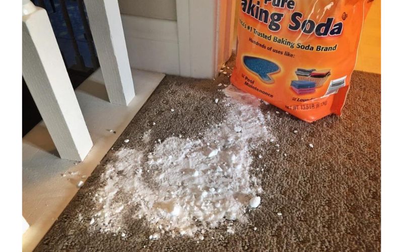 Mẹo giữ thảm phòng khách luôn khô thoáng khi mùa nồm đến