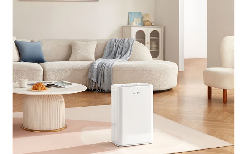 Mẹo giữ thảm phòng khách luôn khô thoáng khi mùa nồm đến